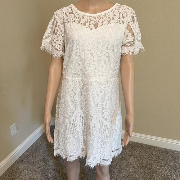 MSLG Dresses & Skirts - NWT- Dress Size XXL